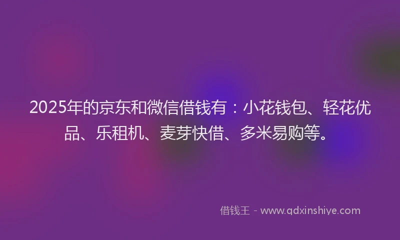 2025年的京东和微信借钱有：小花钱包、轻花优品、乐租机、麦芽快借、多米易购等。