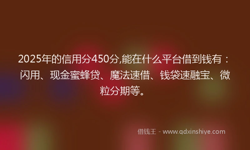 2025年的信用分450分,能在什么平台借到钱有：闪用、现金蜜蜂贷、魔法速借、钱袋速融宝、微粒分期等。