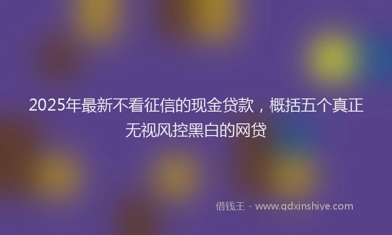 2025年最新不看征信的现金贷款，概括五个真正无视风控黑白的网贷