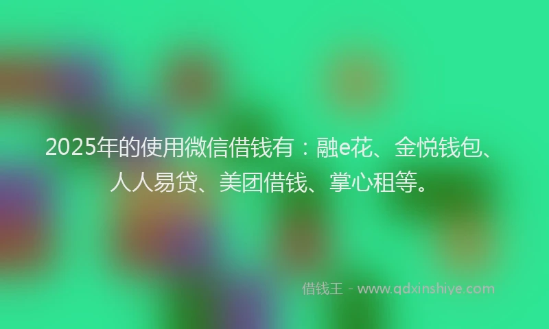 2025年的使用微信借钱有：融e花、金悦钱包、人人易贷、美团借钱、掌心租等。