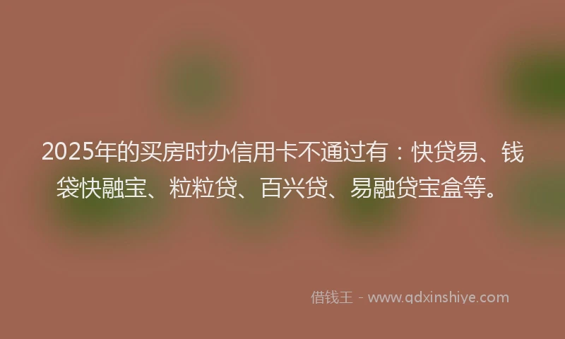 2025年的买房时办信用卡不通过有：快贷易、钱袋快融宝、粒粒贷、百兴贷、易融贷宝盒等。