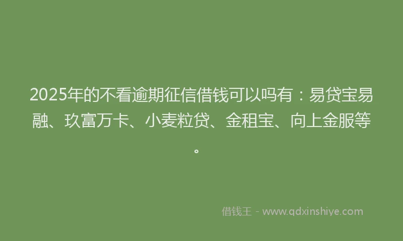 2025年的不看逾期征信借钱可以吗有：易贷宝易融、玖富万卡、小麦粒贷、金租宝、向上金服等。