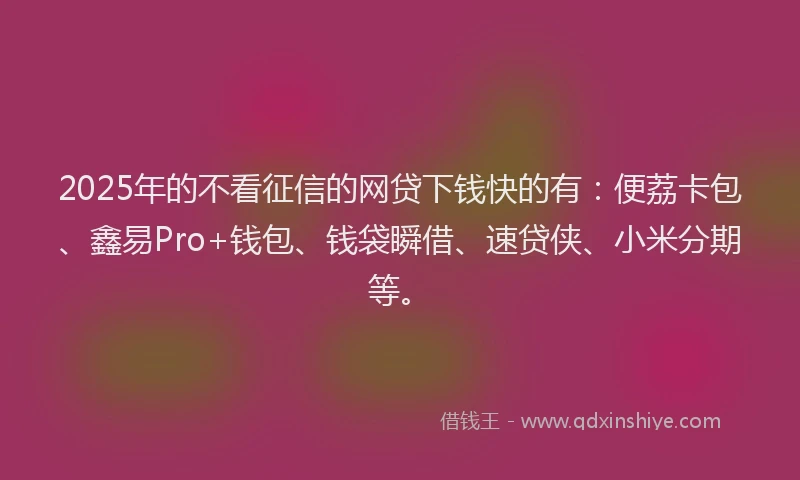 2025年的不看征信的网贷下钱快的有：便荔卡包、鑫易Pro+钱包、钱袋瞬借、速贷侠、小米分期等。