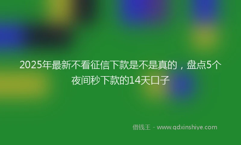 2025年最新不看征信下款是不是真的，盘点5个夜间秒下款的14天口子
