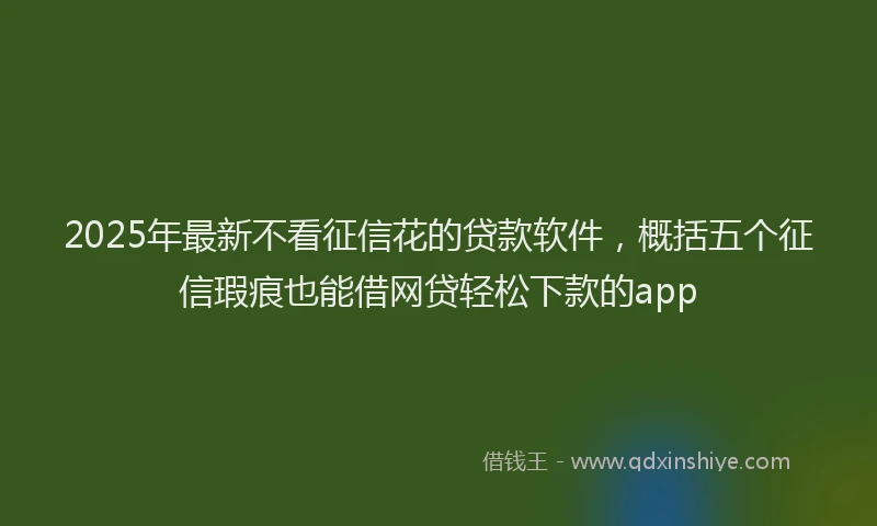 2025年最新不看征信花的贷款软件，概括五个征信瑕疵也能借网贷轻松下款的app