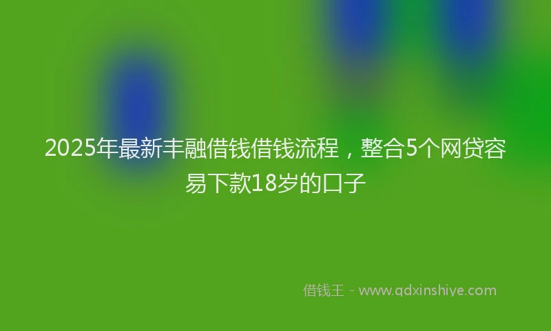 2025年最新丰融借钱借钱流程，整合5个网贷容易下款18岁的口子