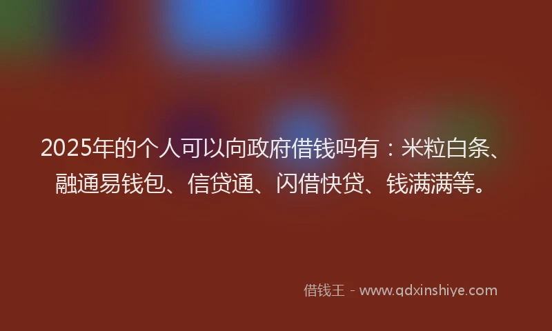2025年的个人可以向政府借钱吗有：米粒白条、融通易钱包、信贷通、闪借快贷、钱满满等。