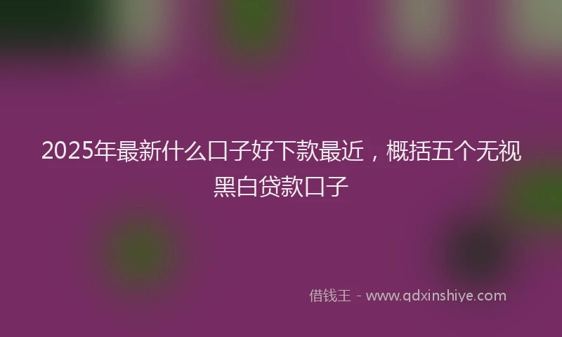 2025年最新什么口子好下款最近，概括五个无视黑白贷款口子