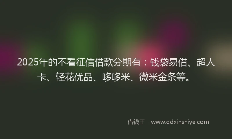 2025年的不看征信借款分期有：钱袋易借、超人卡、轻花优品、哆哆米、微米金条等。