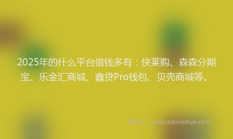 2025年的什么平台借钱多有：快莱购、森森分期宝、乐金汇商城、鑫贷Pro钱包、贝壳商城等。
