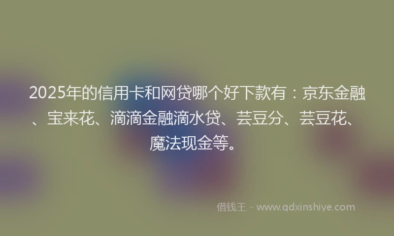 2025年的信用卡和网贷哪个好下款有：京东金融、宝来花、滴滴金融滴水贷、芸豆分、芸豆花、魔法现金等。