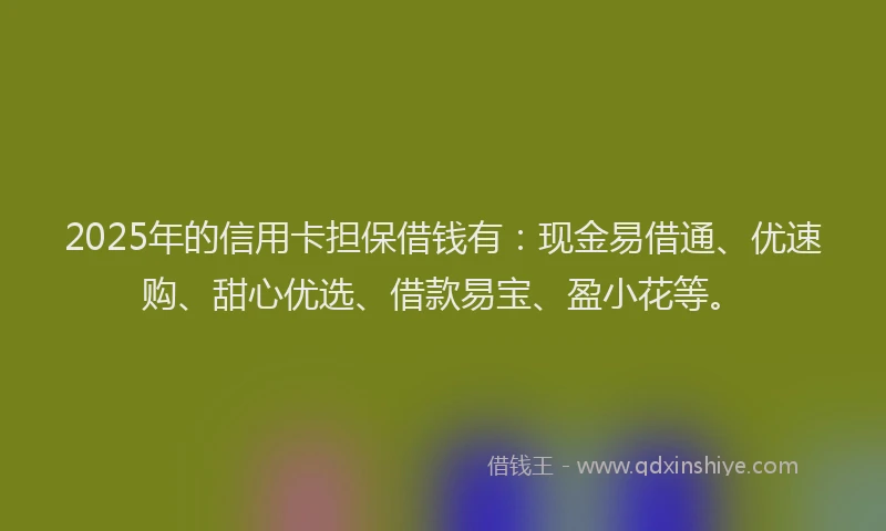 2025年的信用卡担保借钱有：现金易借通、优速购、甜心优选、借款易宝、盈小花等。