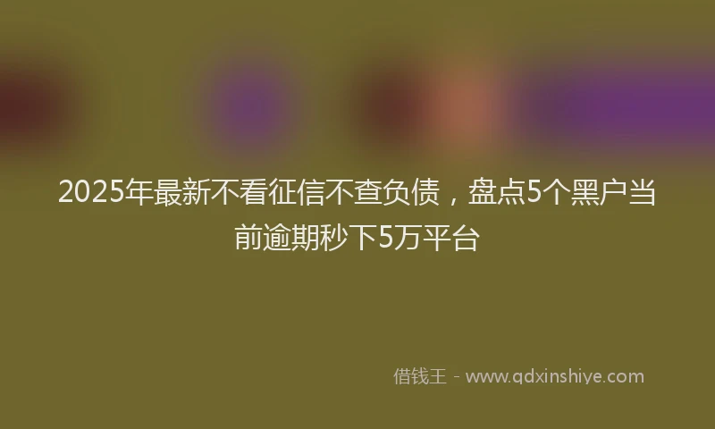 2025年最新不看征信不查负债，盘点5个黑户当前逾期秒下5万平台