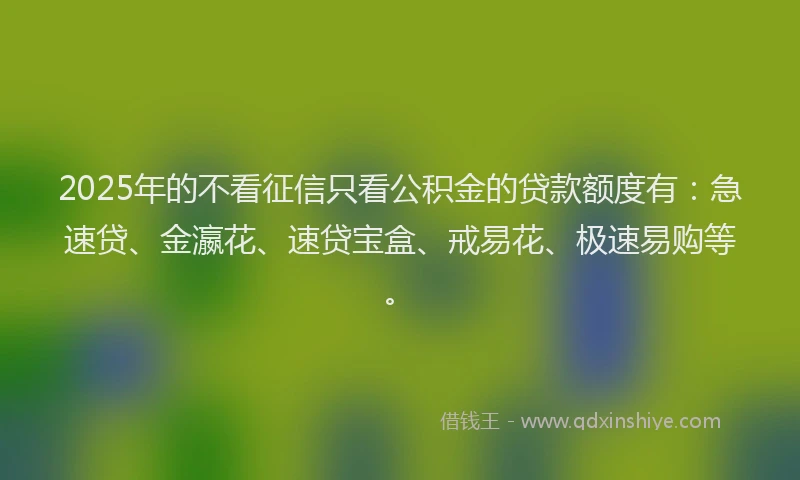 2025年的不看征信只看公积金的贷款额度有：急速贷、金瀛花、速贷宝盒、戒易花、极速易购等。