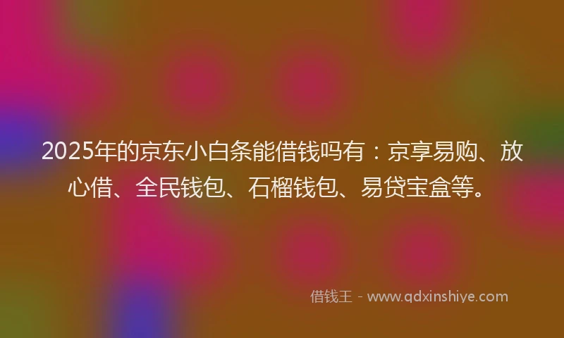2025年的京东小白条能借钱吗有：京享易购、放心借、全民钱包、石榴钱包、易贷宝盒等。