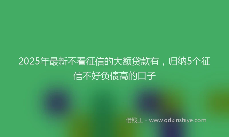 2025年最新不看征信的大额贷款有，归纳5个征信不好负债高的口子
