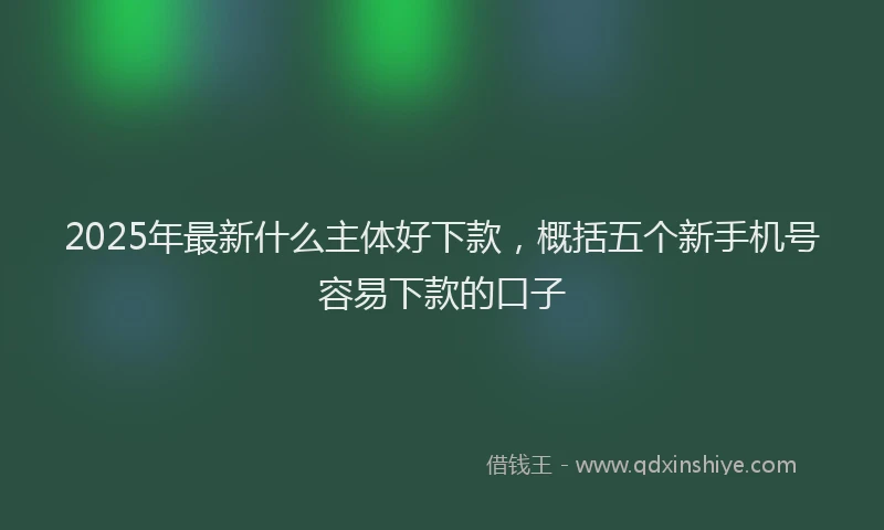 2025年最新什么主体好下款，概括五个新手机号容易下款的口子