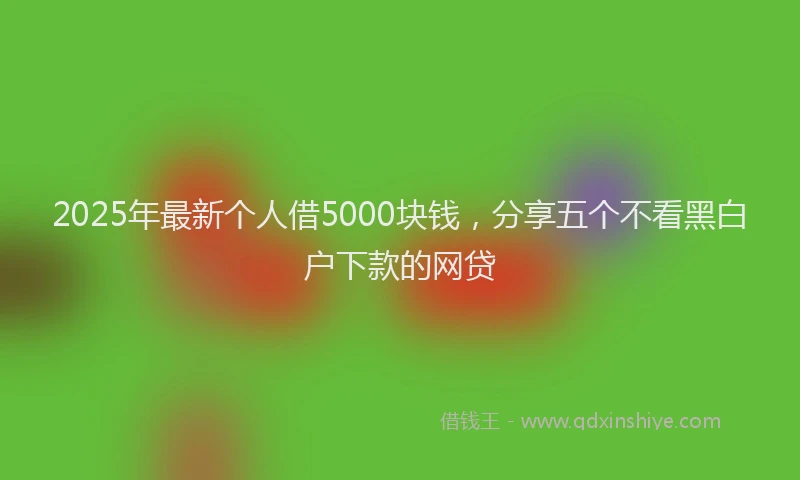 2025年最新个人借5000块钱，分享五个不看黑白户下款的网贷