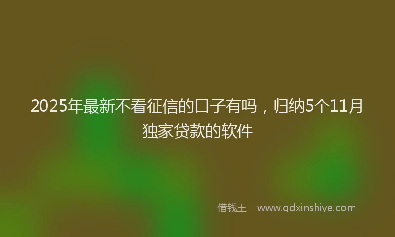 2025年最新不看征信的口子有吗，归纳5个11月独家贷款的软件
