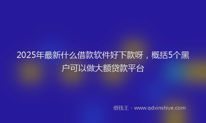2025年最新什么借款软件好下款呀，概括5个黑户可以做大额贷款平台