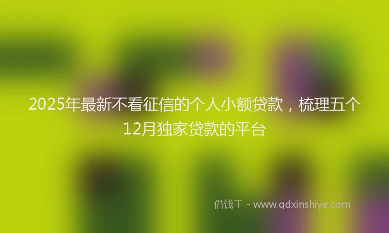 2025年最新不看征信的个人小额贷款，梳理五个12月独家贷款的平台