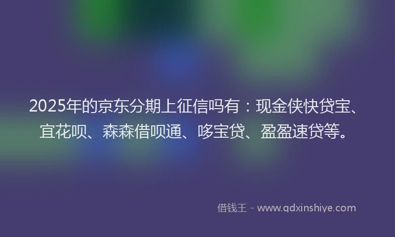 2025年的京东分期上征信吗有：现金侠快贷宝、宜花呗、森森借呗通、哆宝贷、盈盈速贷等。