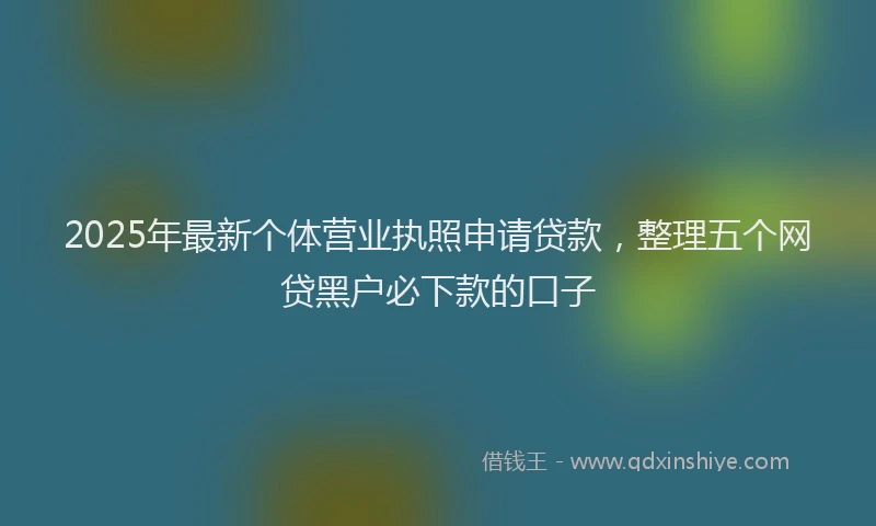 2025年最新个体营业执照申请贷款，整理五个网贷黑户必下款的口子