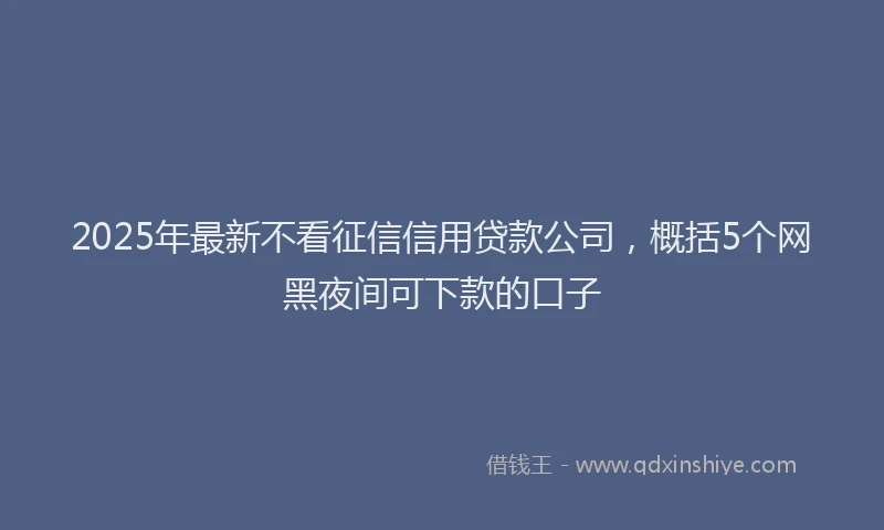 2025年最新不看征信信用贷款公司，概括5个网黑夜间可下款的口子