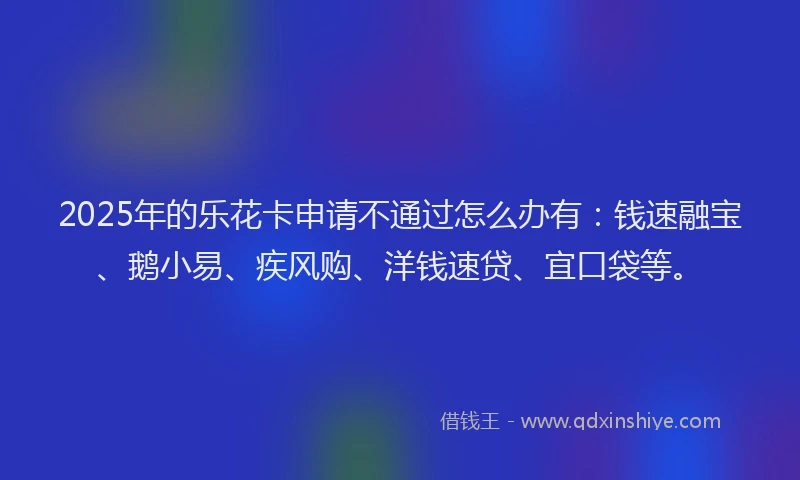 2025年的乐花卡申请不通过怎么办有：钱速融宝、鹅小易、疾风购、洋钱速贷、宜口袋等。