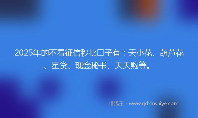 2025年的不看征信秒批口子有：天小花、葫芦花、星贷、现金秘书、天天购等。