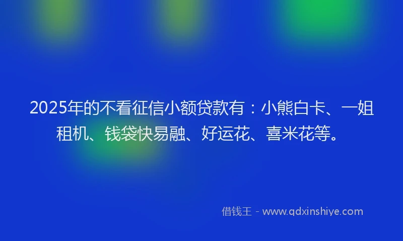 2025年的不看征信小额贷款有：小熊白卡、一姐租机、钱袋快易融、好运花、喜米花等。