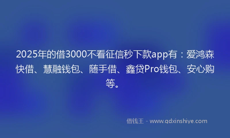 2025年的借3000不看征信秒下款app有：爱鸿森快借、慧融钱包、随手借、鑫贷Pro钱包、安心购等。