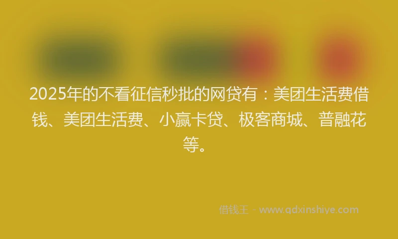 2025年的不看征信秒批的网贷有：美团生活费借钱、美团生活费、小赢卡贷、极客商城、普融花等。