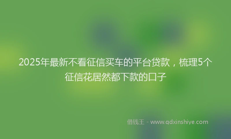2025年最新不看征信买车的平台贷款，梳理5个征信花居然都下款的口子