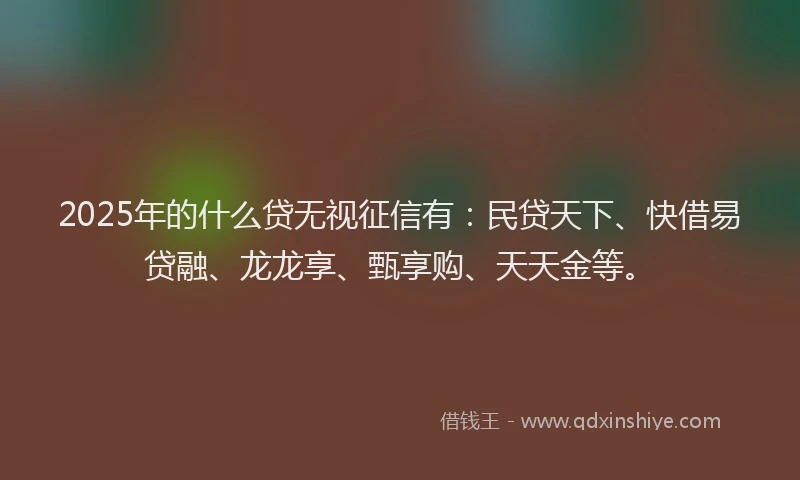 2025年的什么贷无视征信有：民贷天下、快借易贷融、龙龙享、甄享购、天天金等。