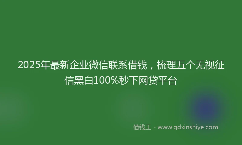 2025年最新企业微信联系借钱，梳理五个无视征信黑白100%秒下网贷平台