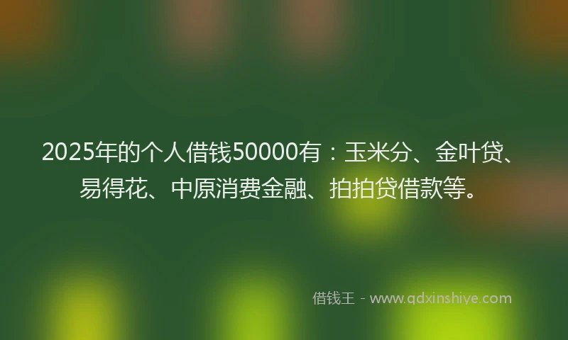 2025年的个人借钱50000有：玉米分、金叶贷、易得花、中原消费金融、拍拍贷借款等。