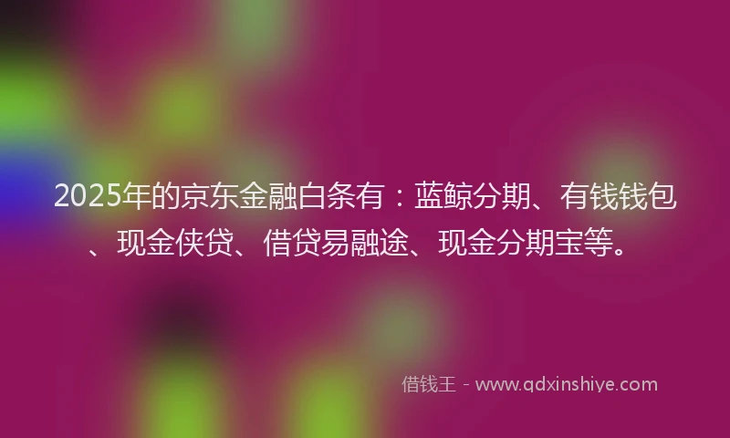 2025年的京东金融白条有：蓝鲸分期、有钱钱包、现金侠贷、借贷易融途、现金分期宝等。