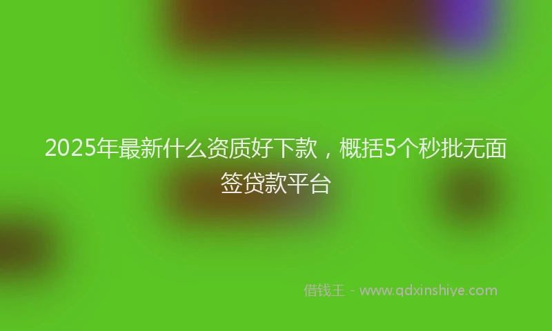 2025年最新什么资质好下款，概括5个秒批无面签贷款平台