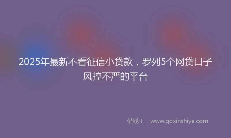 2025年最新不看征信小贷款，罗列5个网贷口子风控不严的平台