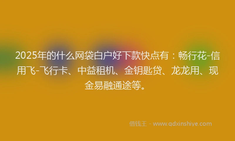 2025年的什么网袋白户好下款快点有：畅行花-信用飞-飞行卡、中益租机、金钥匙贷、龙龙用、现金易融通途等。
