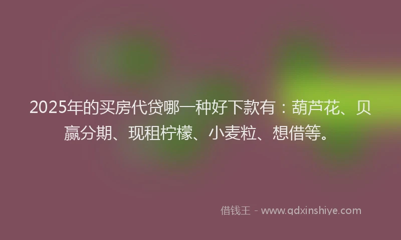 2025年的买房代贷哪一种好下款有：葫芦花、贝赢分期、现租柠檬、小麦粒、想借等。