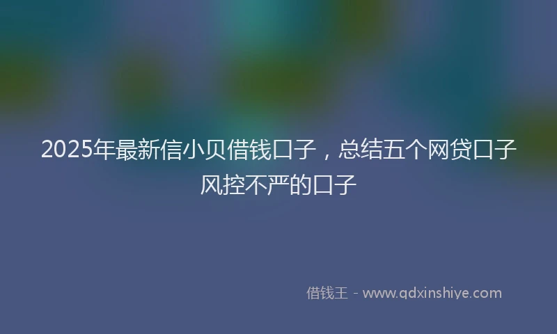 2025年最新信小贝借钱口子，总结五个网贷口子风控不严的口子