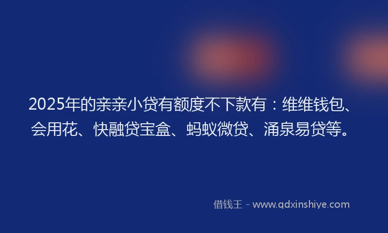 2025年的亲亲小贷有额度不下款有：维维钱包、会用花、快融贷宝盒、蚂蚁微贷、涌泉易贷等。