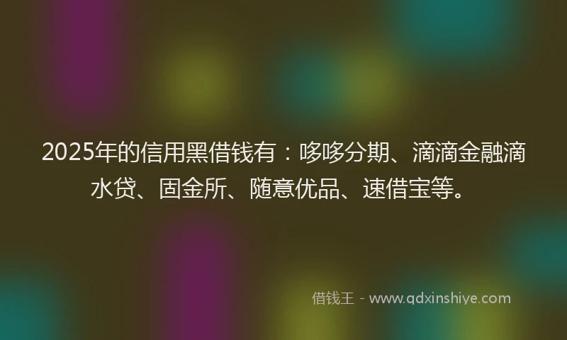 2025年的信用黑借钱有：哆哆分期、滴滴金融滴水贷、固金所、随意优品、速借宝等。
