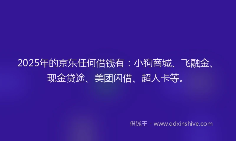 2025年的京东任何借钱有：小狗商城、飞融金、现金贷途、美团闪借、超人卡等。