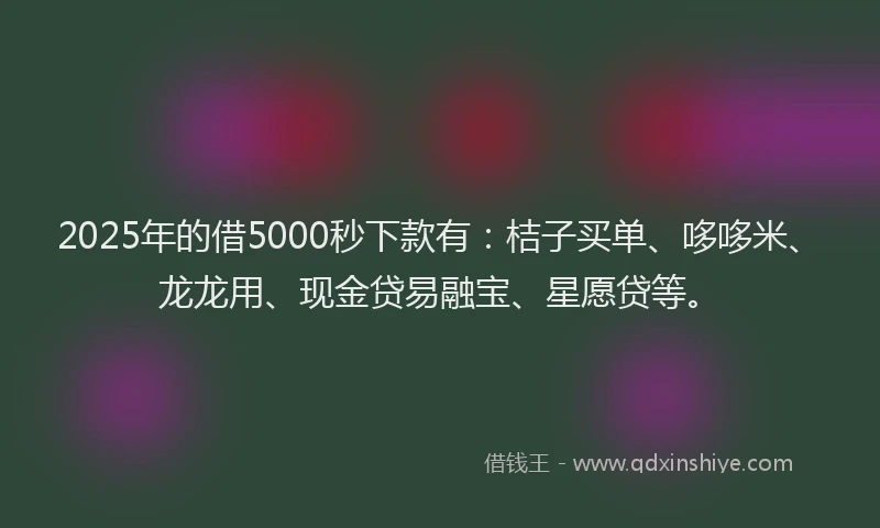 2025年的借5000秒下款有：桔子买单、哆哆米、龙龙用、现金贷易融宝、星愿贷等。