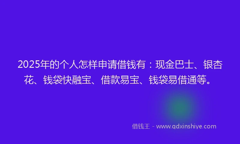 2025年的个人怎样申请借钱有：现金巴士、银杏花、钱袋快融宝、借款易宝、钱袋易借通等。