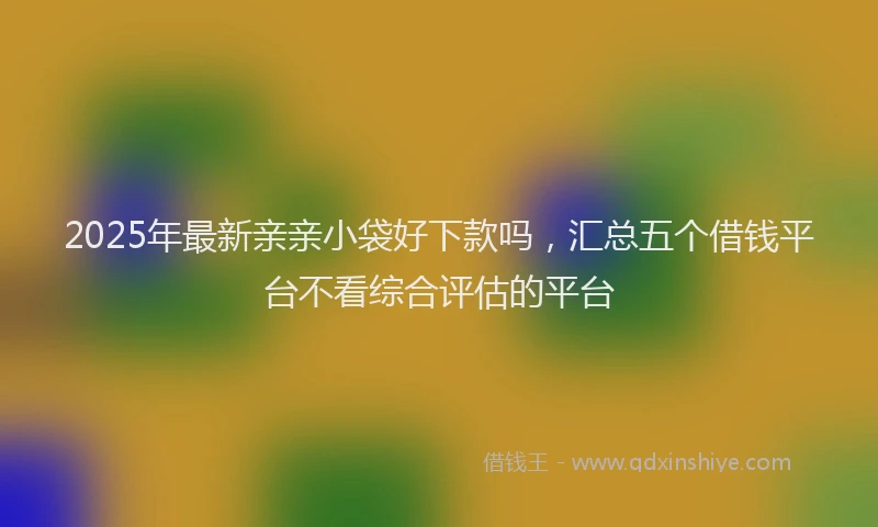 2025年最新亲亲小袋好下款吗，汇总五个借钱平台不看综合评估的平台