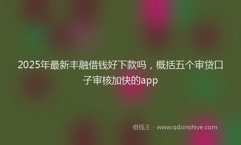2025年最新丰融借钱好下款吗，概括五个审贷口子审核加快的app